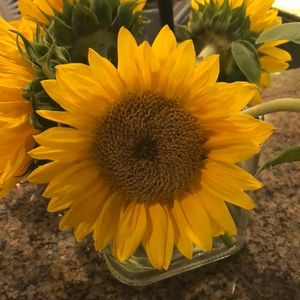 Meet your Posher, Annie